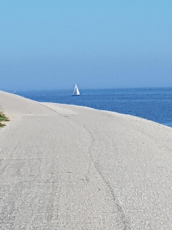 Romantisch Huisje Nabij Het Strand Met Uitzicht Op De Tulpenvelden Julianadorp Exterior photo