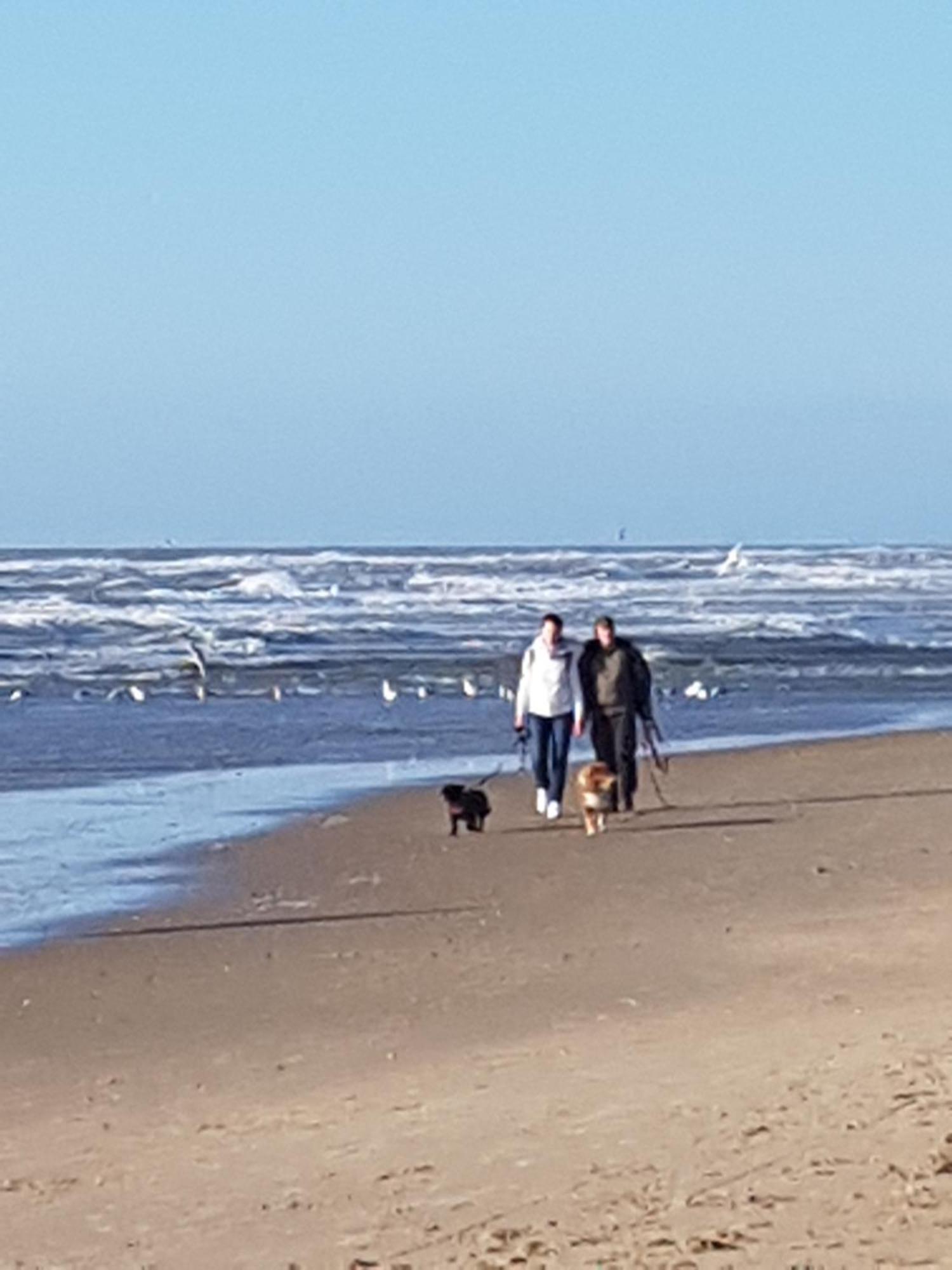 Romantisch Huisje Nabij Het Strand Met Uitzicht Op De Tulpenvelden Julianadorp Exterior photo