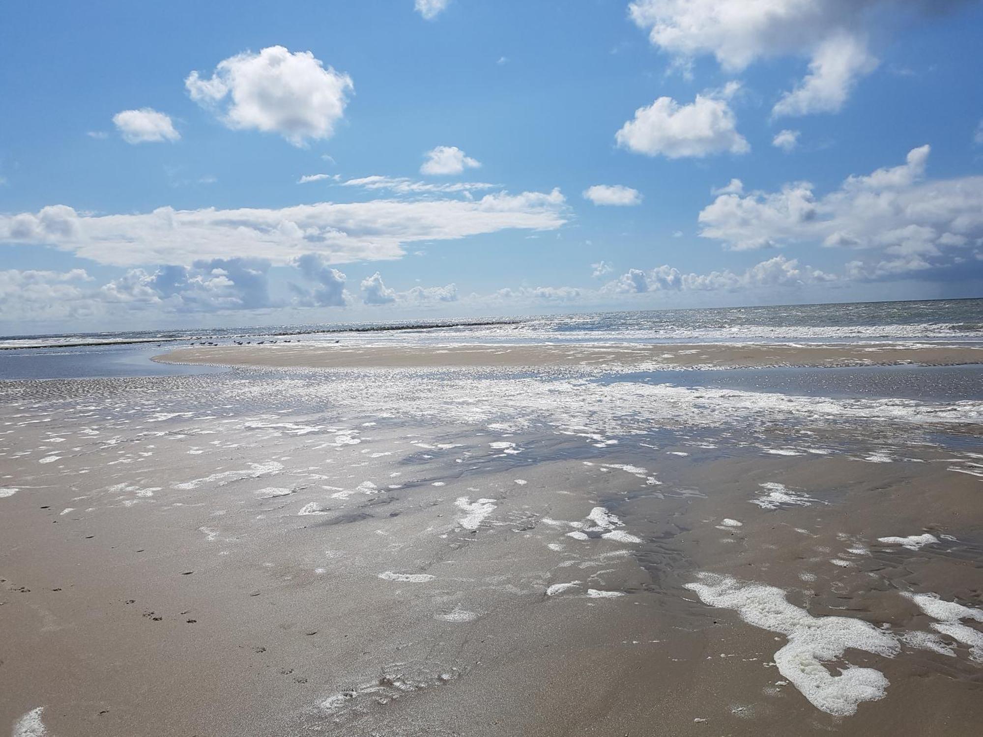 Romantisch Huisje Nabij Het Strand Met Uitzicht Op De Tulpenvelden Julianadorp Exterior photo