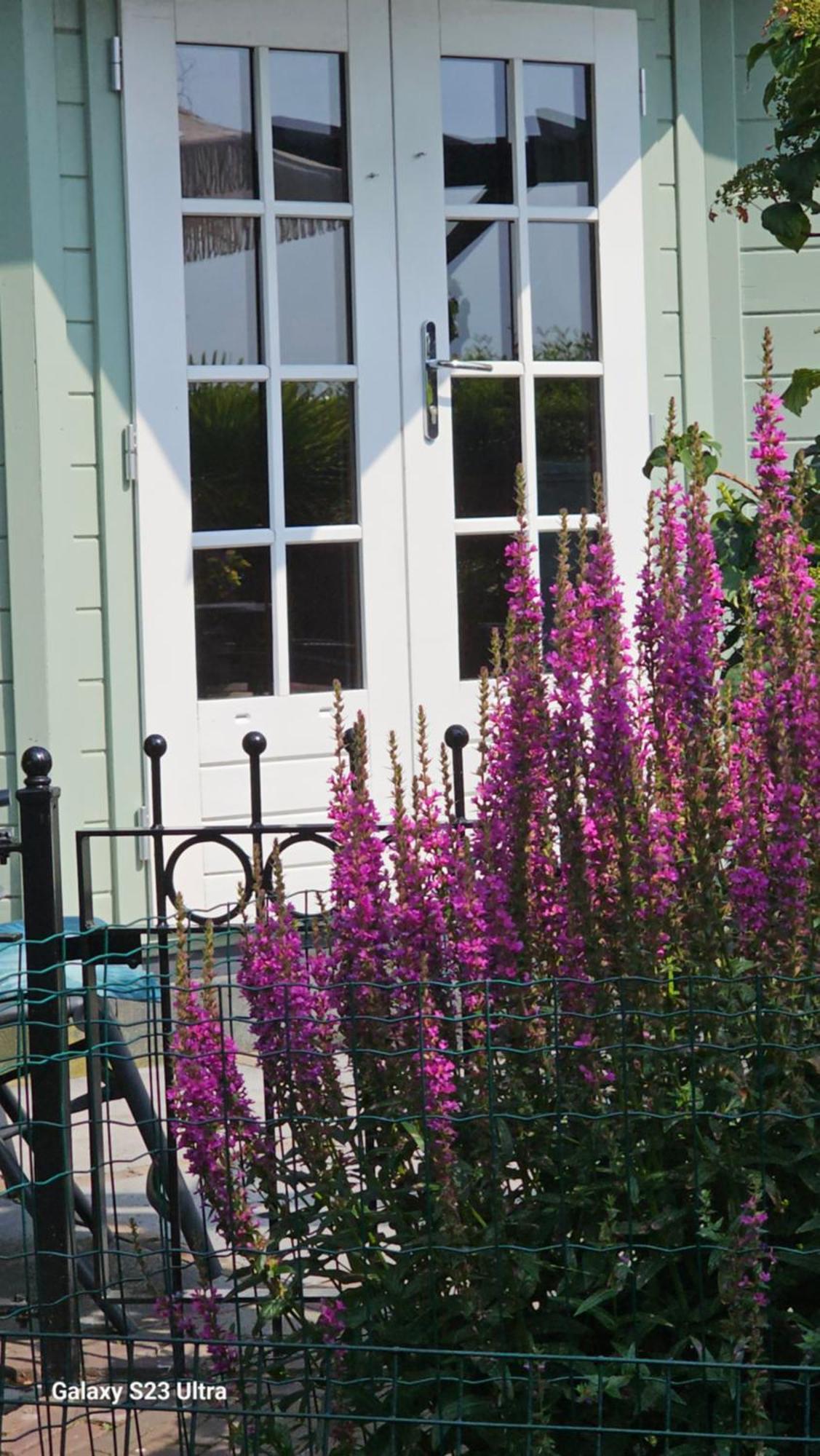 Romantisch Huisje Nabij Het Strand Met Uitzicht Op De Tulpenvelden Julianadorp Exterior photo